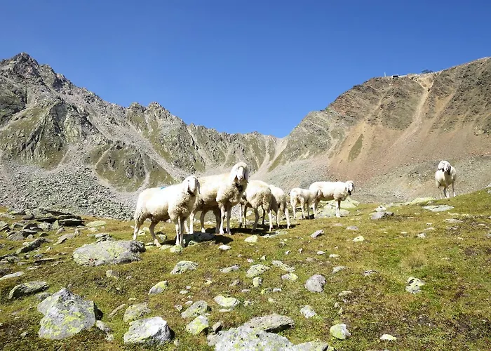 Melisande 3 By Interhome Апартаменти Зельден